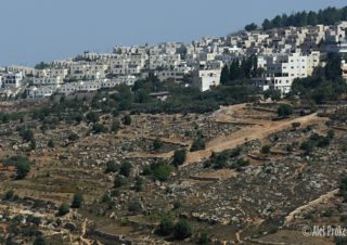 Krajina v Palestině (U Betléma)