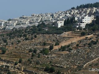 Krajina v Palestině (U Betléma)