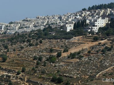Krajina v Palestině (U Betléma)