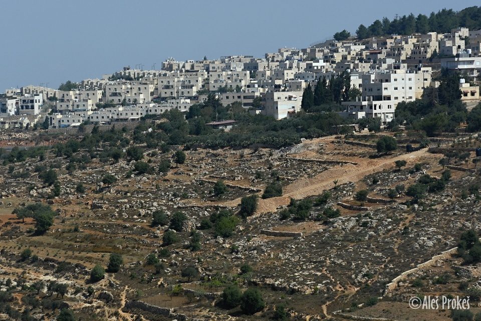 Krajina v Palestině (U Betléma)