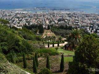 Haifa, Zahrady Bahá’í se svatyní Bába