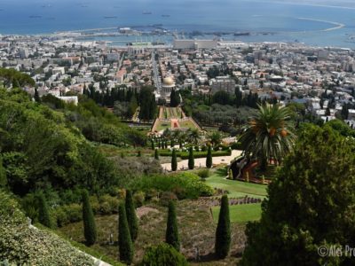 Haifa, Zahrady Bahá’í se svatyní Bába