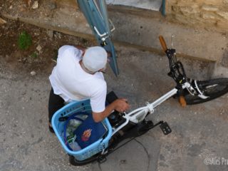 Safed