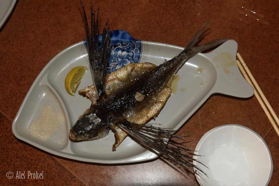 Létající ryba, restaurace na nocním trhu ve meste Hualien