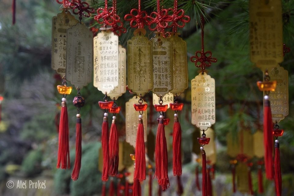 Strom plný karticek prání, Chrám Zhinan, Mao Kong, Taipei