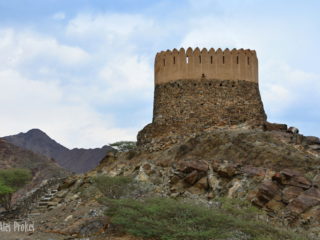 Pevnost Al Badiyah