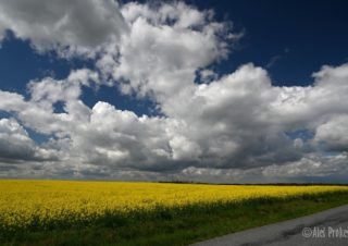 Krajina u Litovan