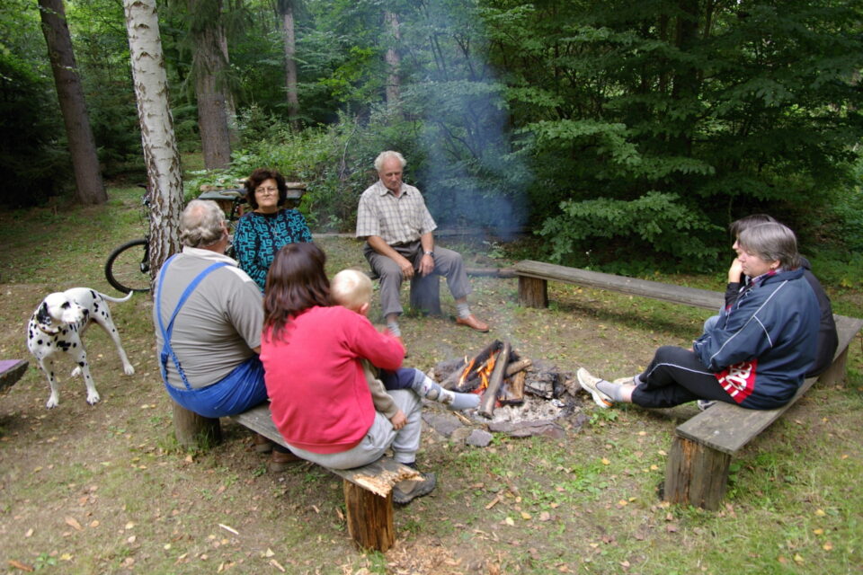 FP20