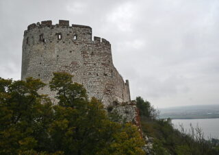 Pavlov_25