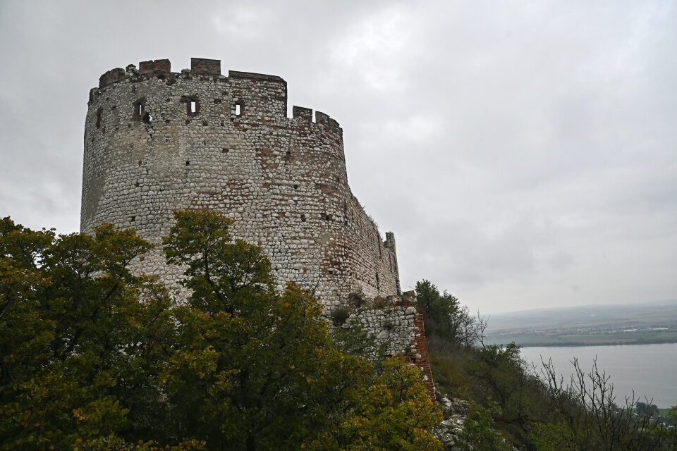 Pavlov_25
