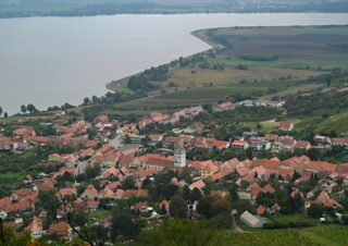 Pavlov_26