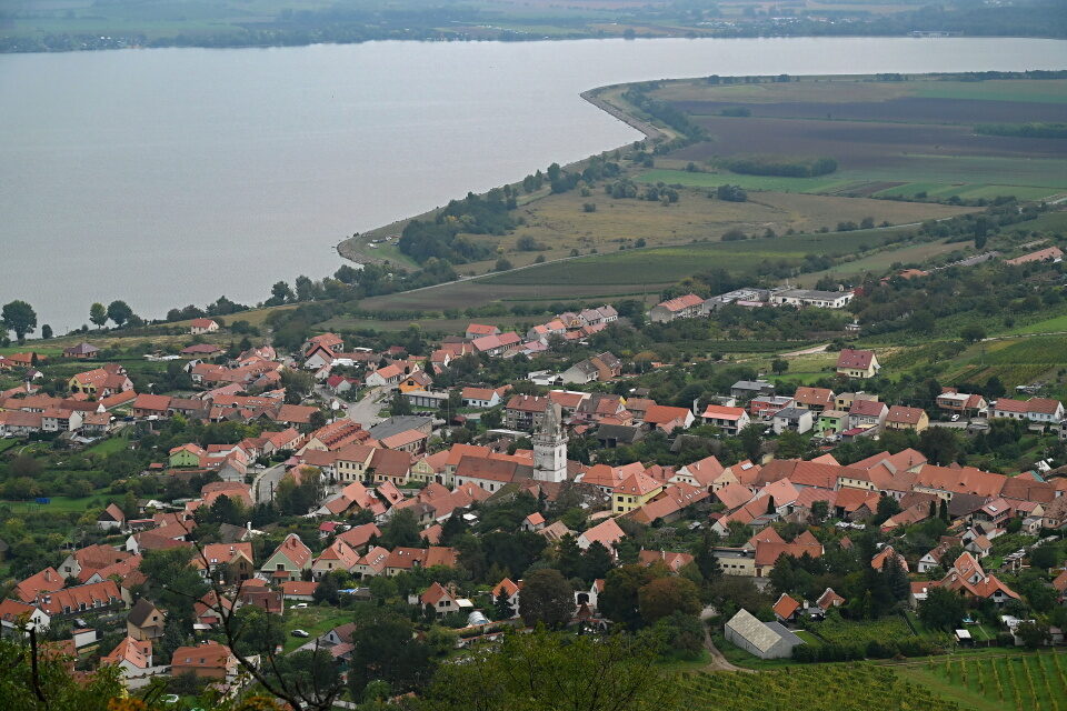Pavlov_26