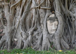 Chrám Wat Phra Mahathat, Ayutthaya