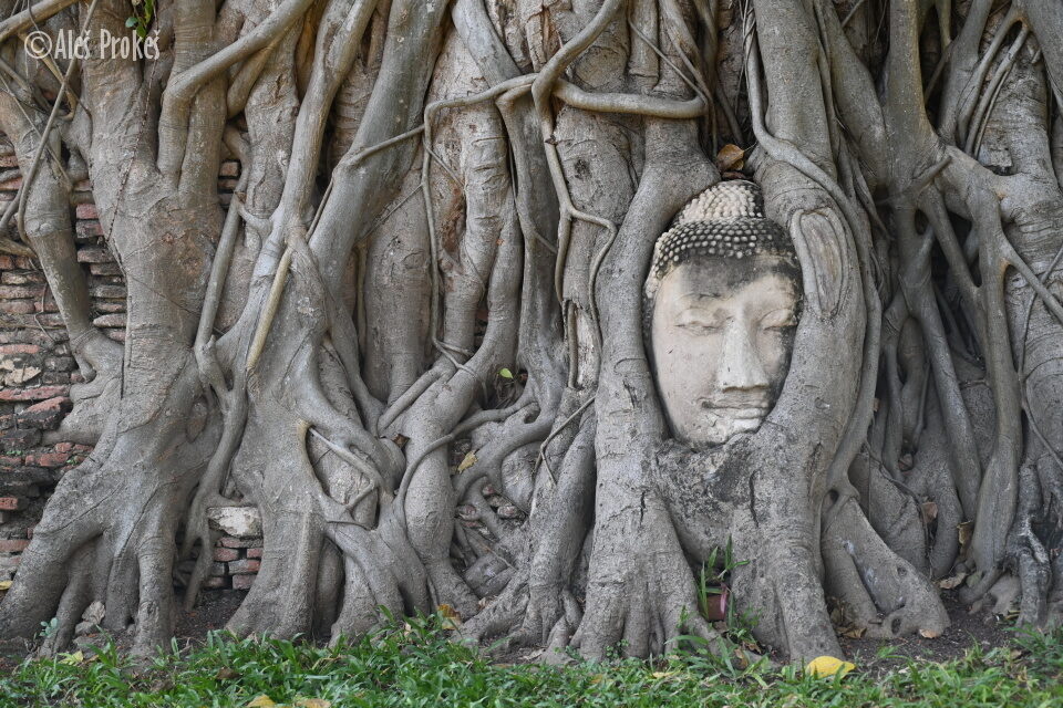 Chrám Wat Phra Mahathat, Ayutthaya
