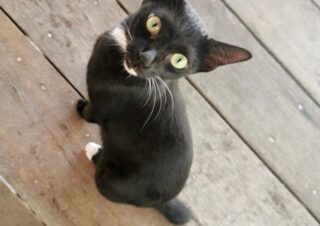 Na ostrově Koh Rong