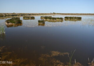 Ptačí rezervace delta Kizilirmak