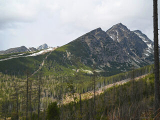 SK2025_16
