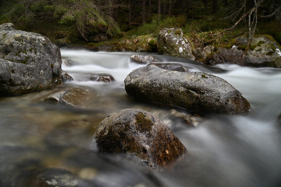 SK2025_17