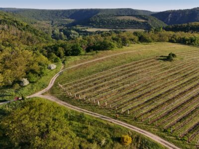 Radioelektronika 2025 15 vineyards Vinice Hnanice