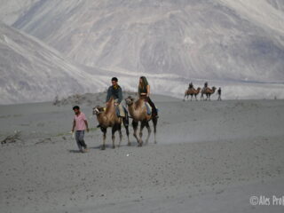 21 Písčité duny u města Hundar – trasa Hedvábné stezky