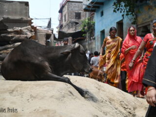 36 Uličky poblíž chrámu Kashi Vishwanath