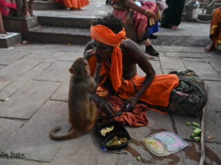 39 Dashashamed road Varanasi