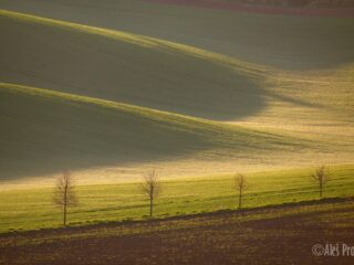 Moravské Toskánsko 07